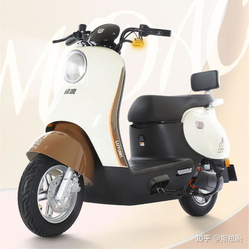 綠源公認最好的三款電動車