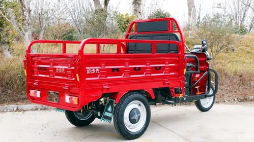 宗申戰(zhàn)虎 金彭祥龍 淮海力霸這些家用電動(dòng)三輪車,你更看好誰(shuí)