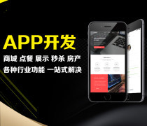 河南App商城定制產品庫——計算機軟件設計領域的新生態探索