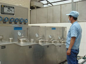 光彩在傳承中綻放 許昌腐竹產業的昨天、今天與明天