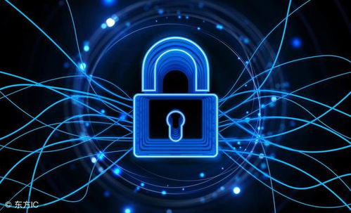 網(wǎng)絡(luò)安全基石 防火墻技術(shù)與信息安全軟件開發(fā)